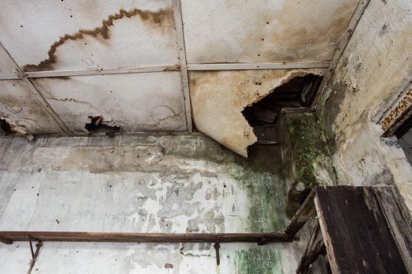 Water Damage Service in Knoxville