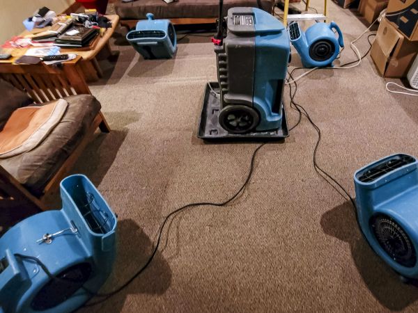 Flood Damage Recovery in Knoxville