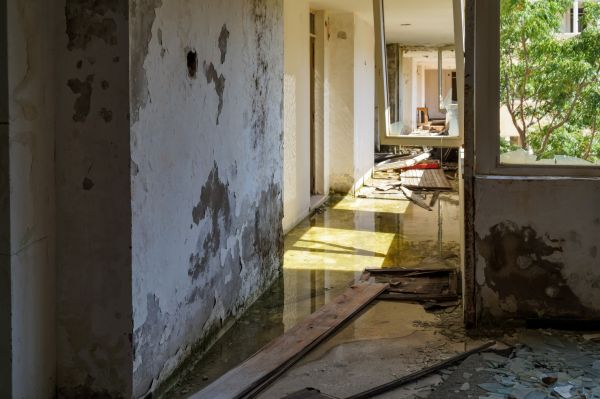Cost of Water Removal Service in Knoxville