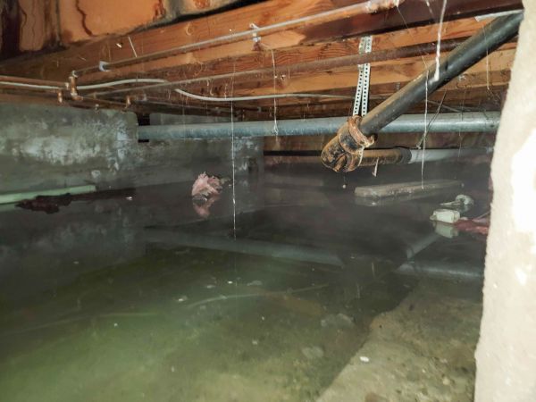 Water Mitigation Service in Knoxville
